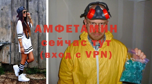 сатива Аркадак