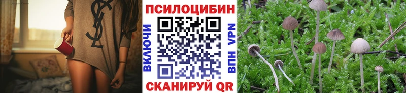 Галлюциногенные грибы мухоморы  Плавск 